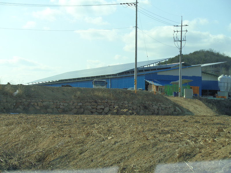 DSC00097.JPG
