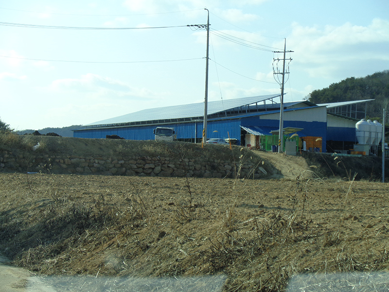 DSC00098.JPG