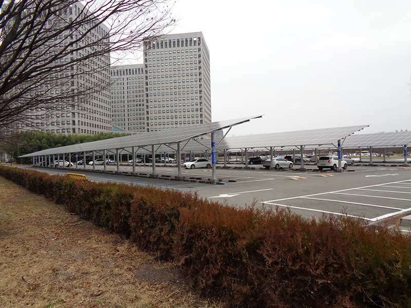 DSC00022.JPG