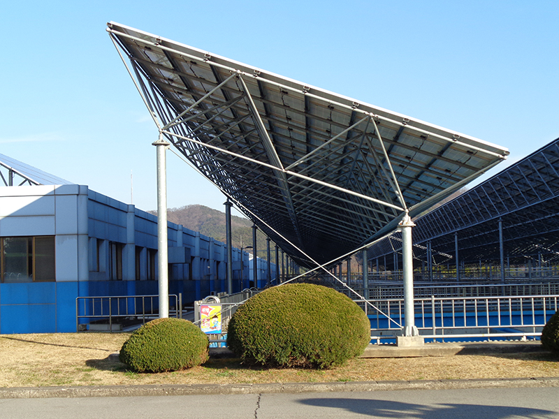 DSC00177.JPG