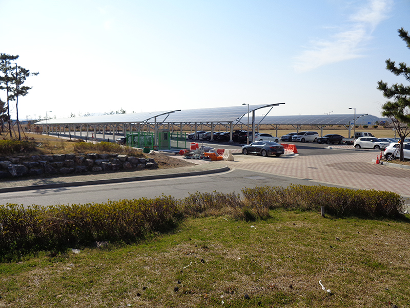 DSC00169.JPG