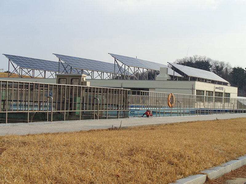 DSC00136.JPG