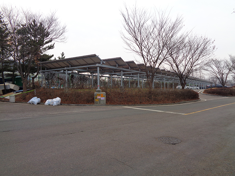 DSC00050.JPG