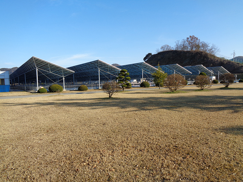 DSC00176.JPG